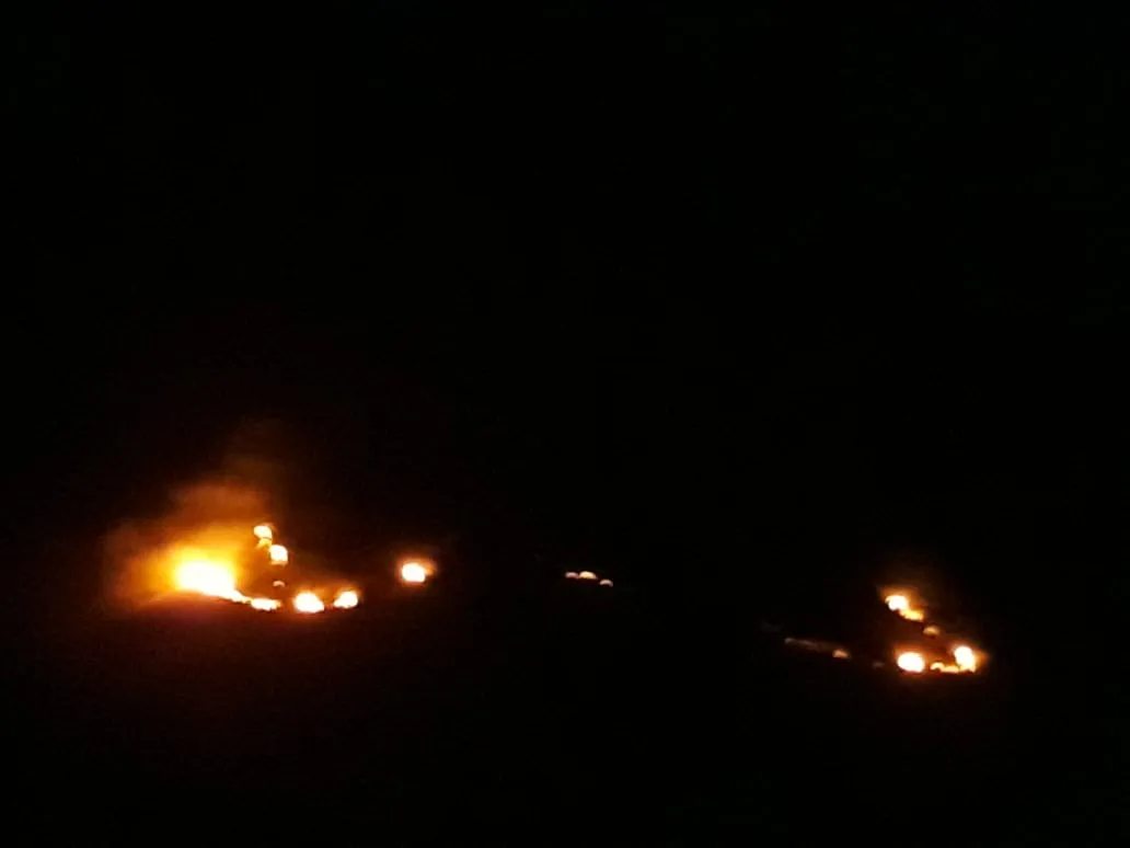 forest fire